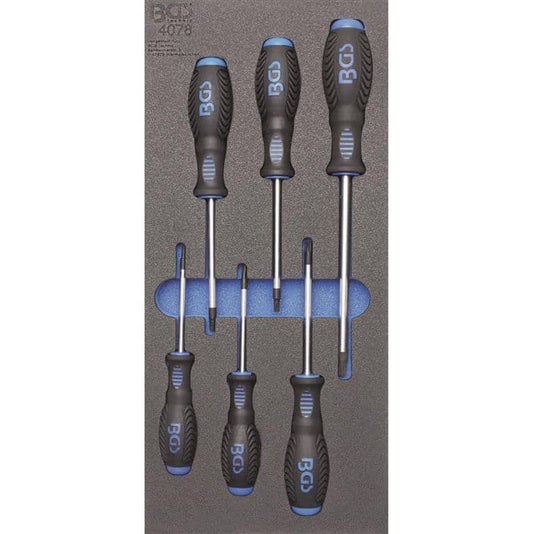 Werkstattwageneinlage 1/3: Schraubendreher T-Profil (für Torx) | 6-tlg.